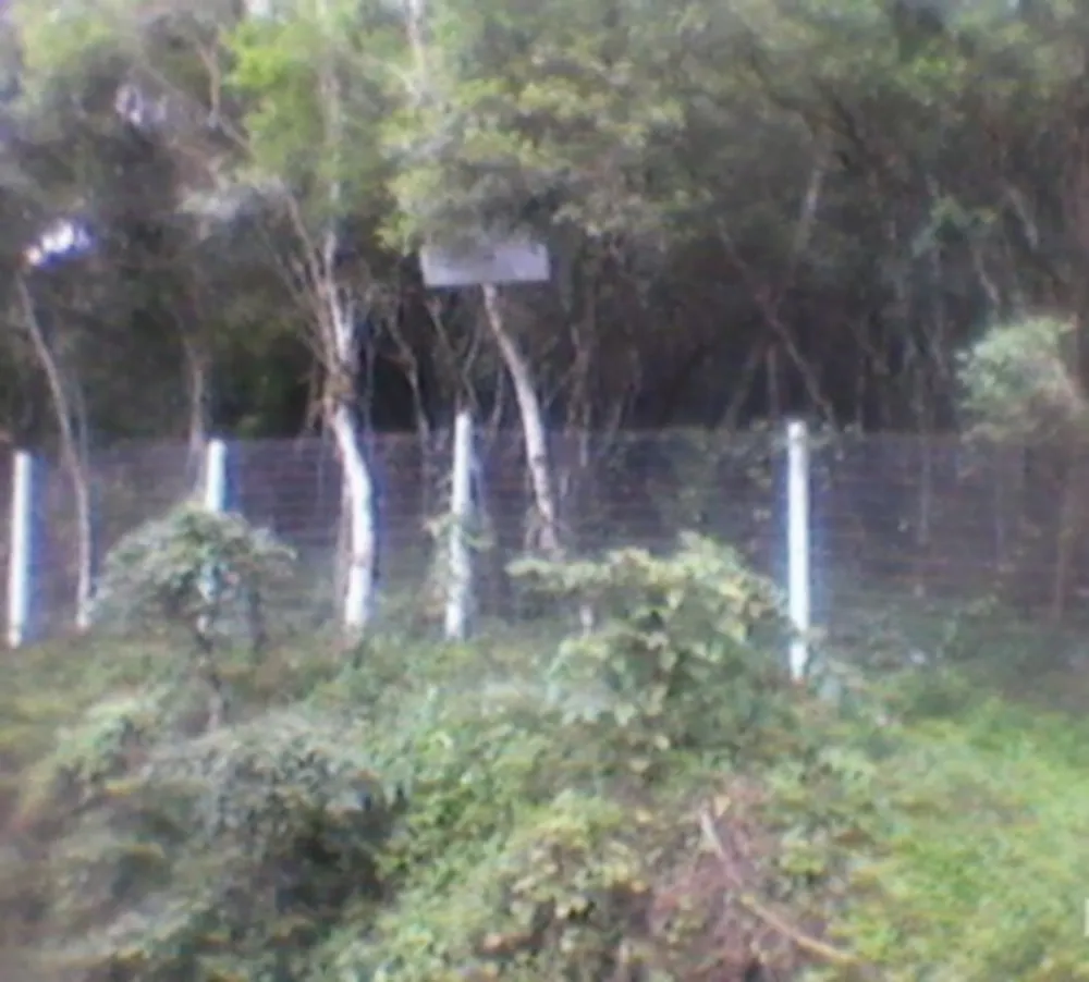 Terreno, 5100 m² - Foto 3