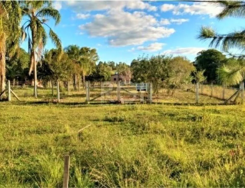 Terreno, 1240 m² - Foto 3