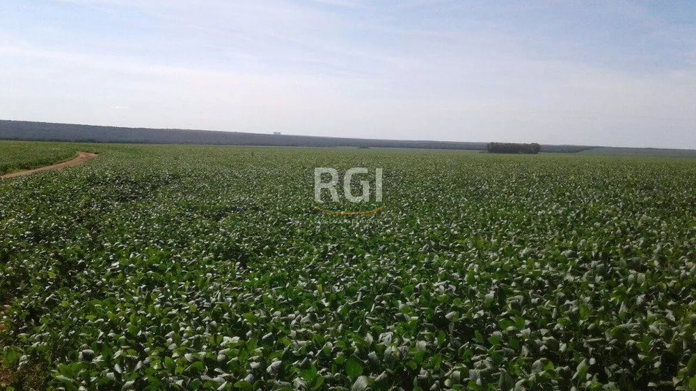 Terreno, 1050 hectares - Foto 13