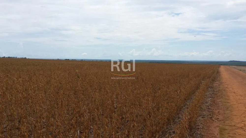 Terreno, 1050 hectares - Foto 12