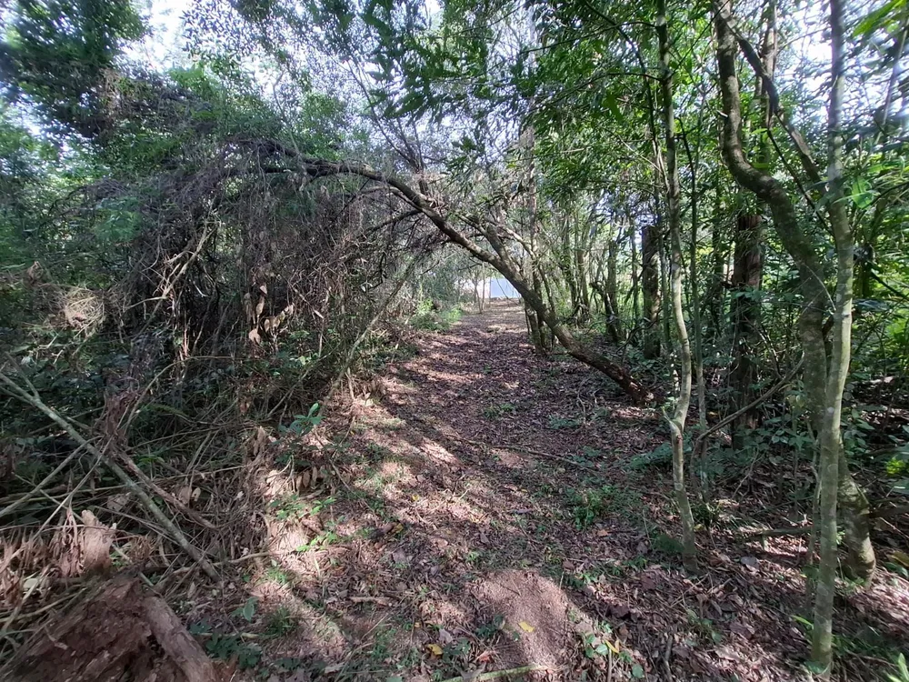 Terreno, 1 m² - Foto 1
