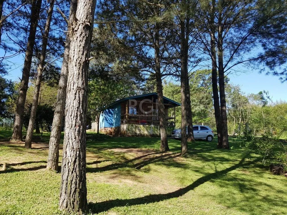Sítio, 3 quartos, 6885 m² - Foto 6