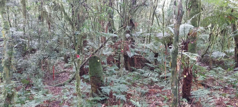 Terreno, 600 m² - Foto 8
