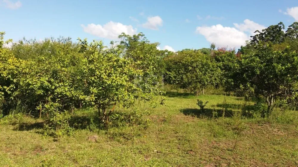 Terreno, 4 hectares - Foto 2