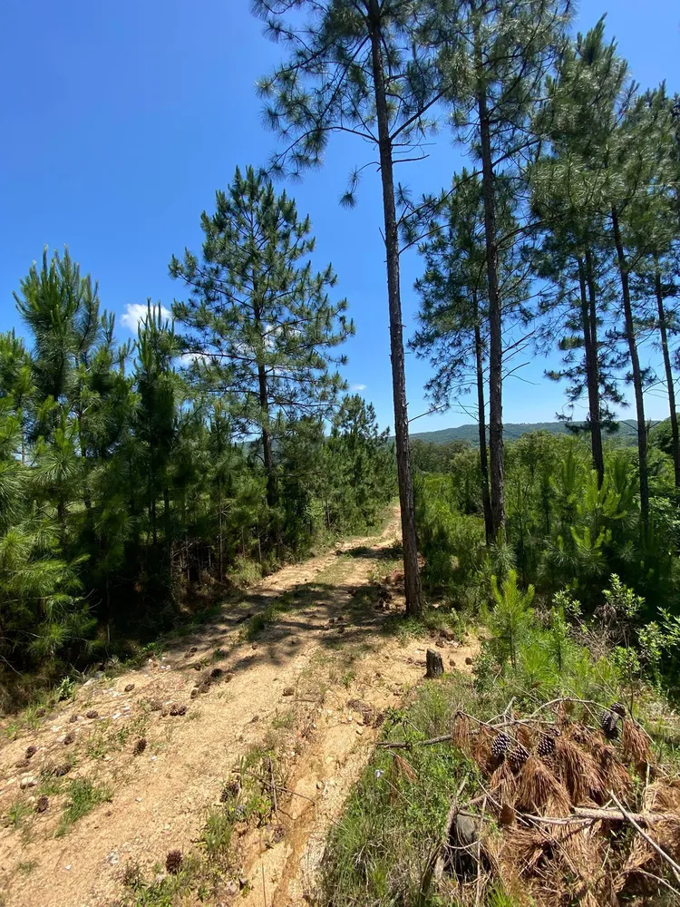 Terreno, 400 m² - Foto 5