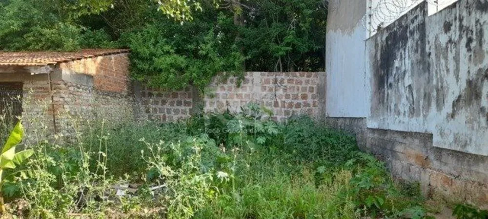Terreno, 290 m² - Foto 2