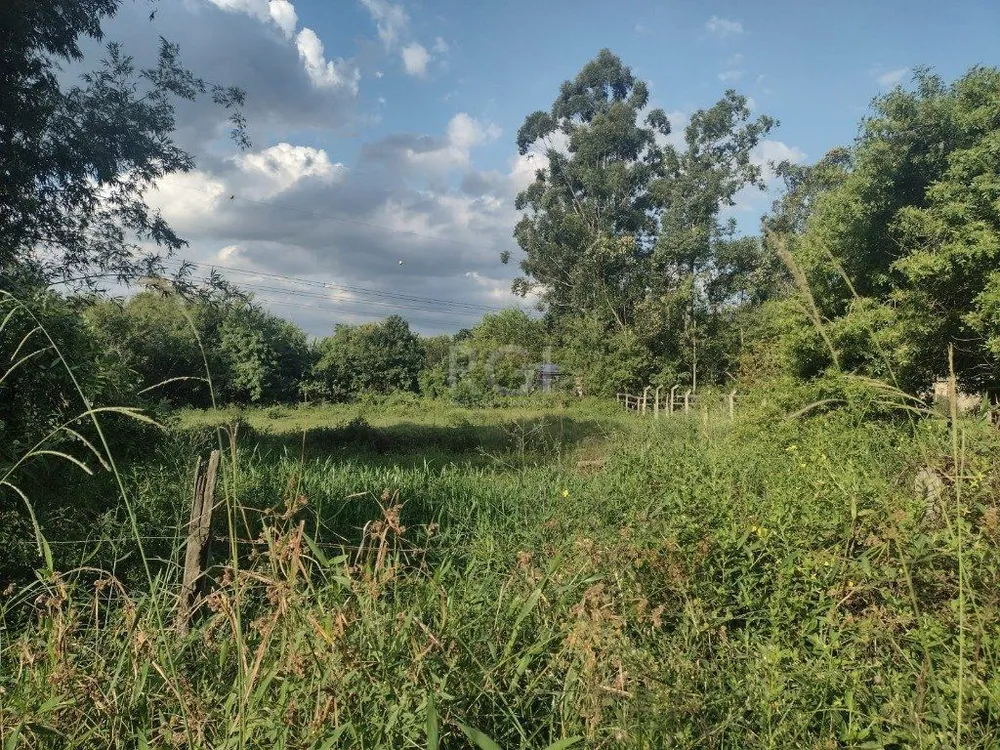 Terreno, 2021 m² - Foto 6