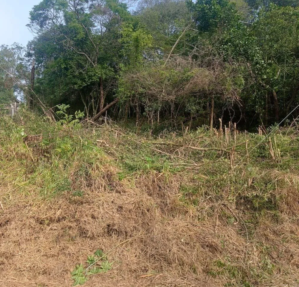 Terreno, 800 m² - Foto 4