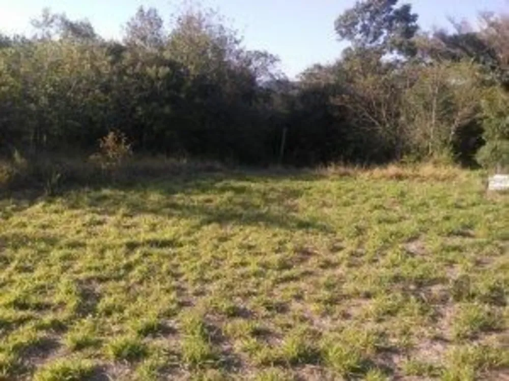 Terreno, 800 m² - Foto 6