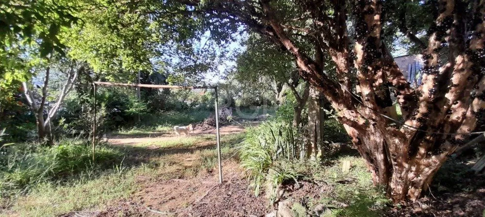 Terreno, 1625 m² - Foto 1