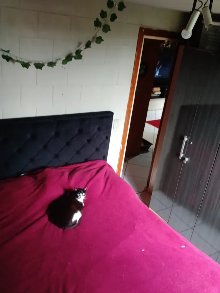Apartamento, 2 quartos, 38 m² - Foto 9