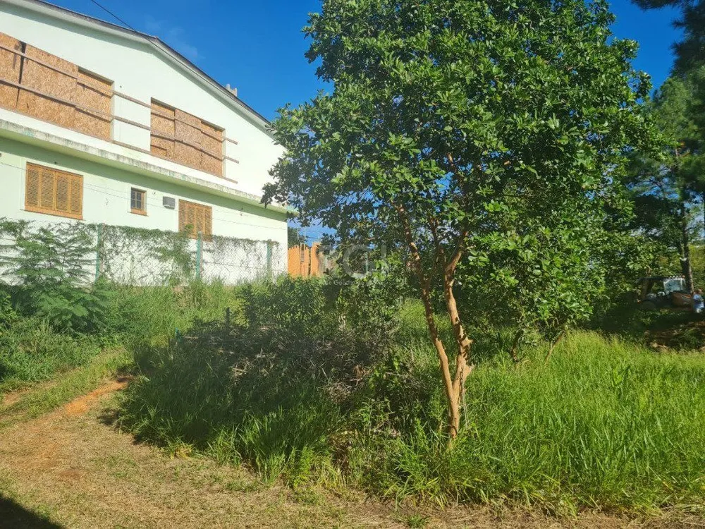 Terreno, 3 hectares - Foto 8