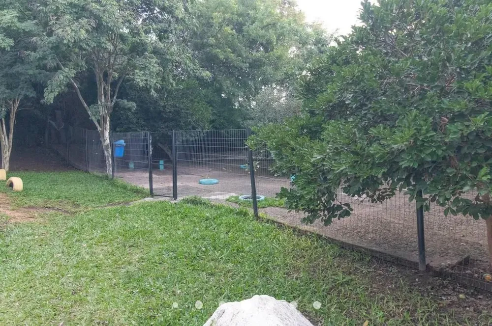 Apartamento, 2 quartos, 38 m² - Foto 13