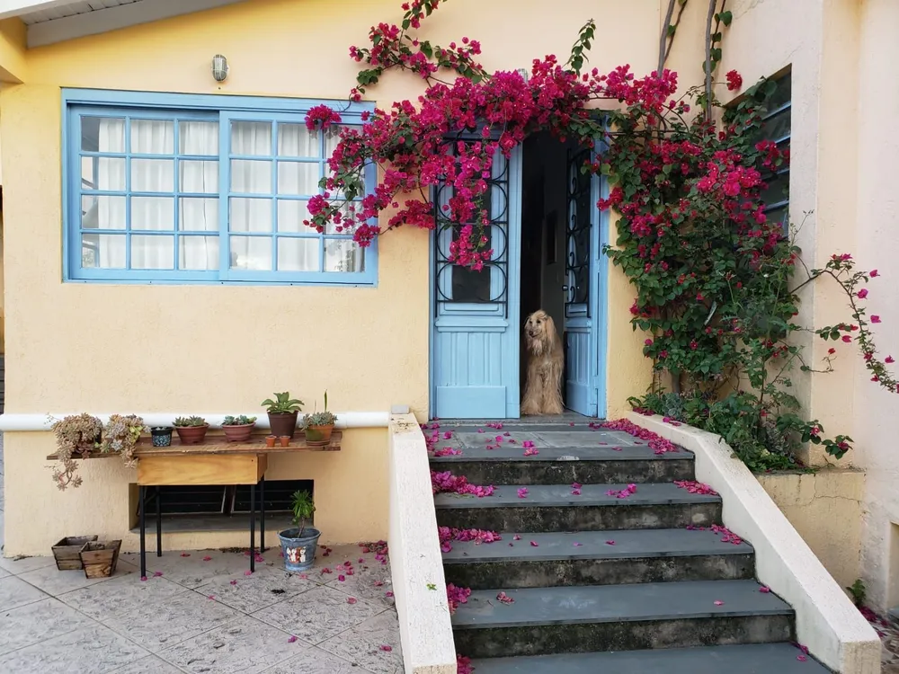Casa, 3 quartos, 240 m² - Foto 6