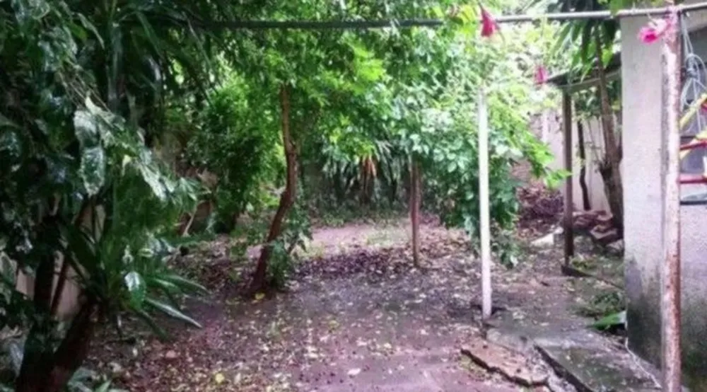 Casa, 5 quartos, 280 m² - Foto 10
