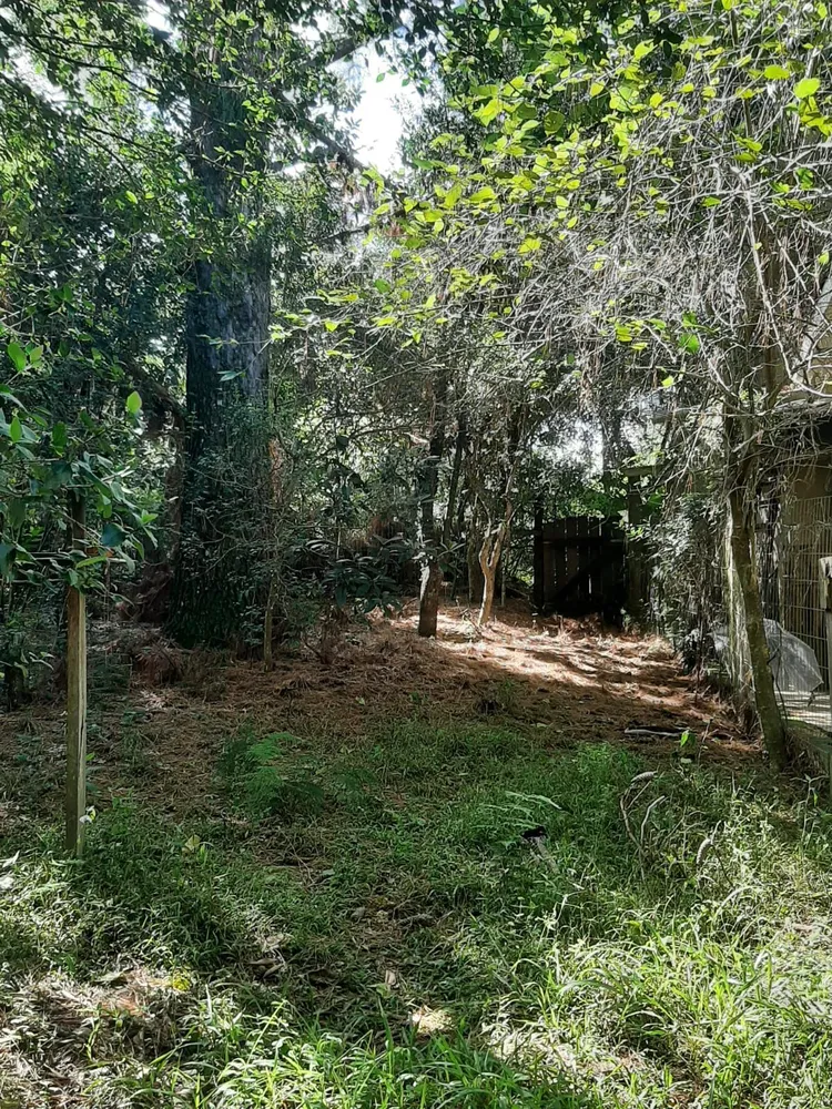 Terreno, 332 m² - Foto 2