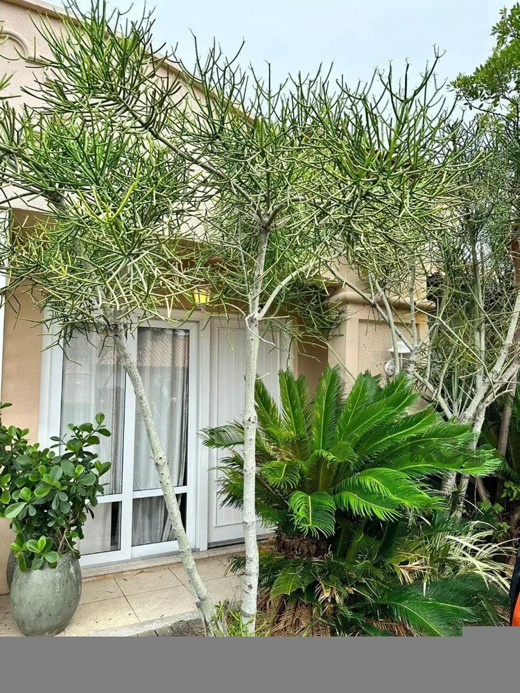 Casa de Condomínio, 2 quartos - Foto 8