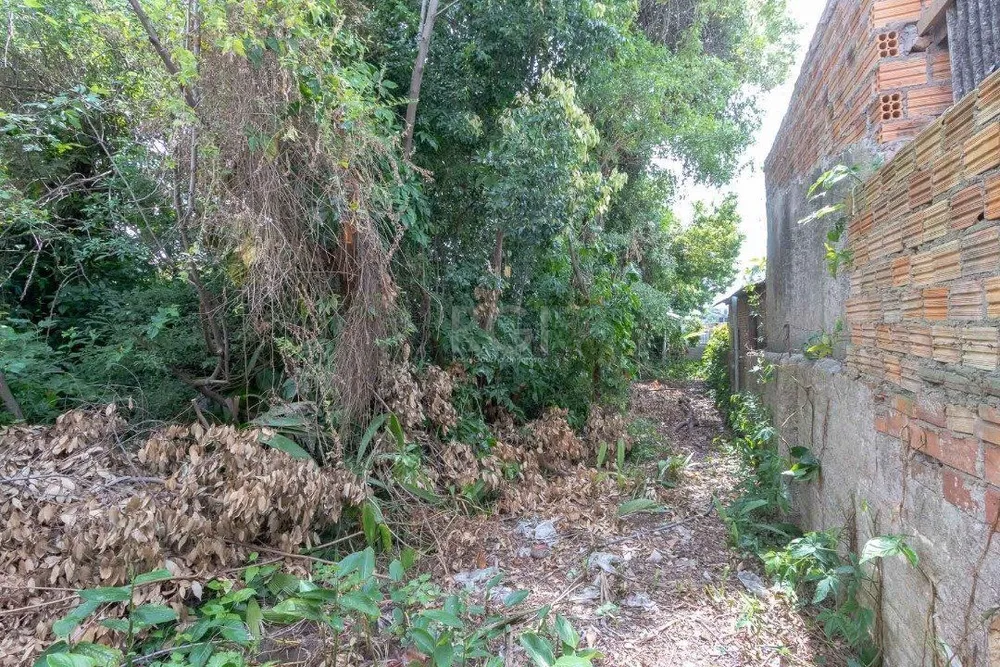 Terreno, 605 m² - Foto 12