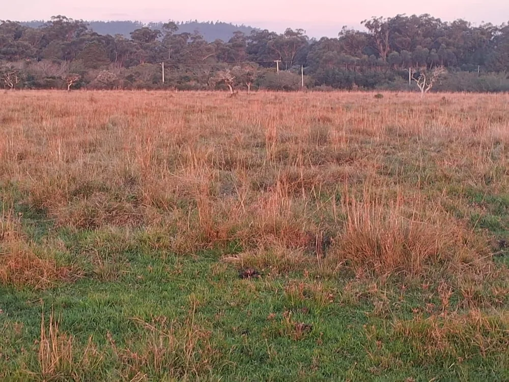 Chácara, 3 quartos, 1979 m² - Foto 7