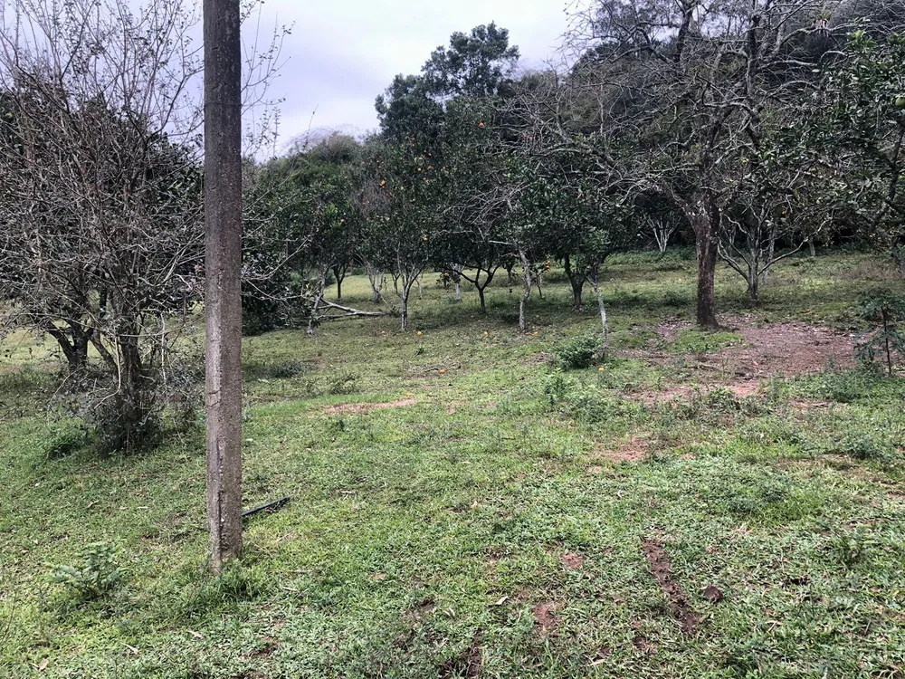 Apartamento, 3 quartos, 84 m² - Foto 6