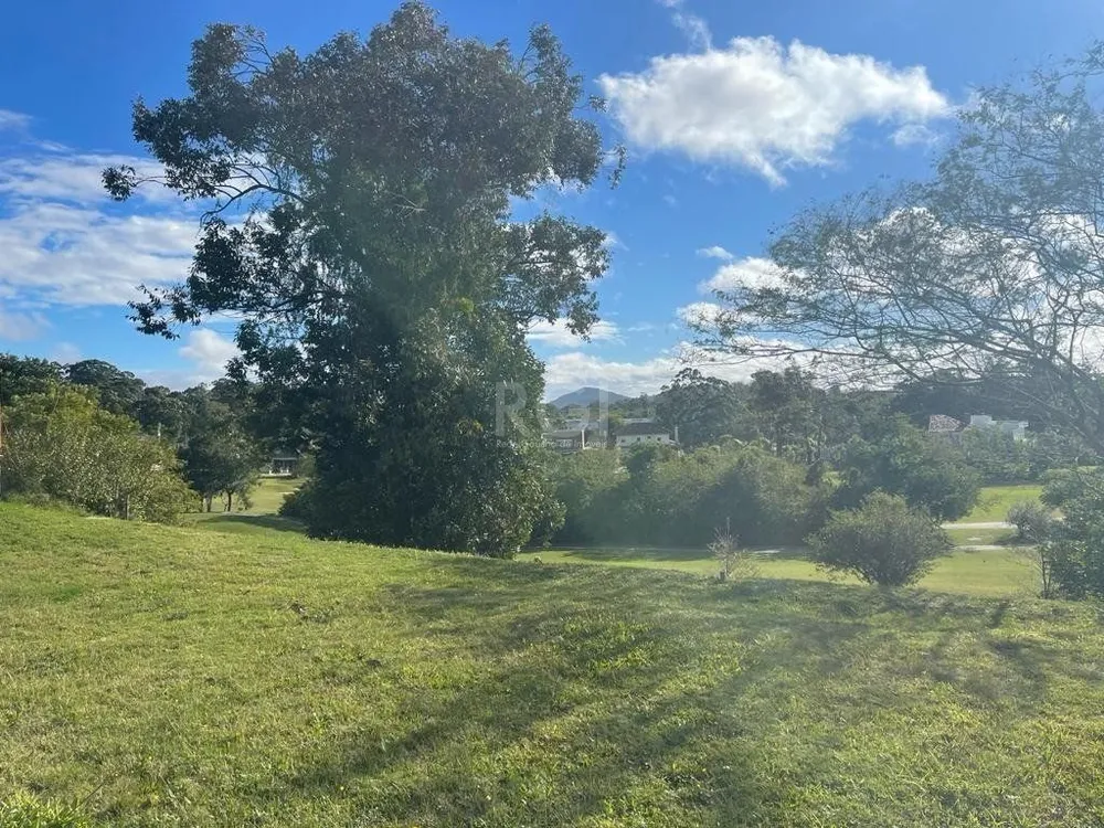 Terreno, 1006 m² - Foto 4