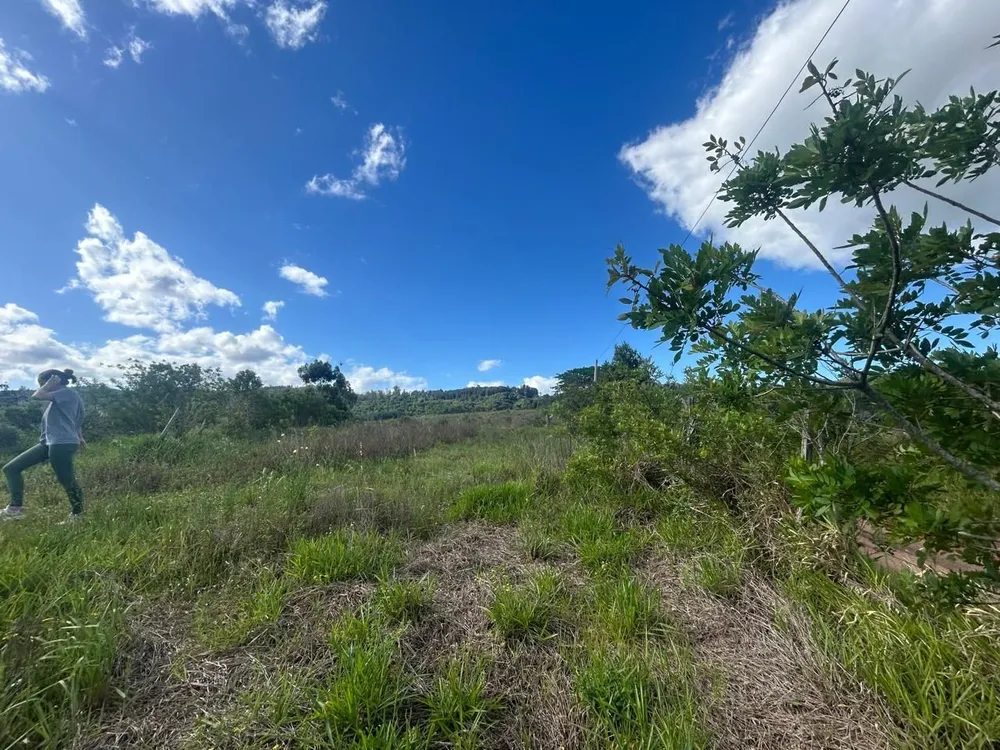 Terreno, 29 hectares - Foto 10
