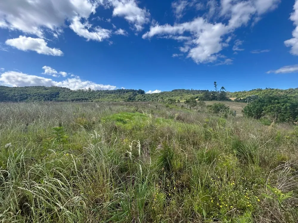 Terreno, 29 hectares - Foto 6
