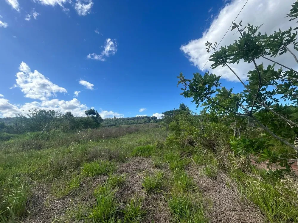 Terreno, 29 hectares - Foto 3