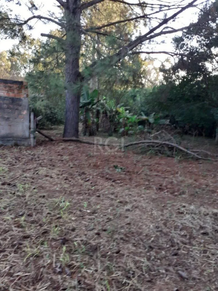 Terreno, 3150 m² - Foto 12