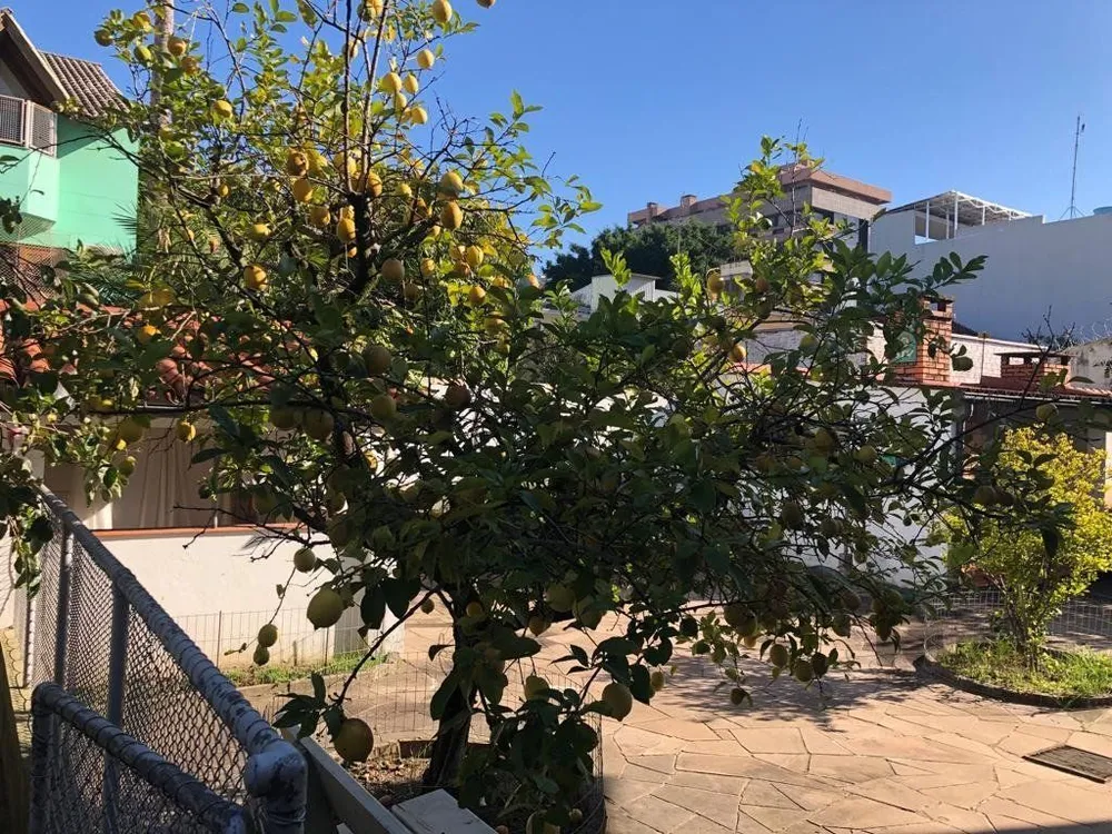 Casa, 4 quartos, 257 m² - Foto 1