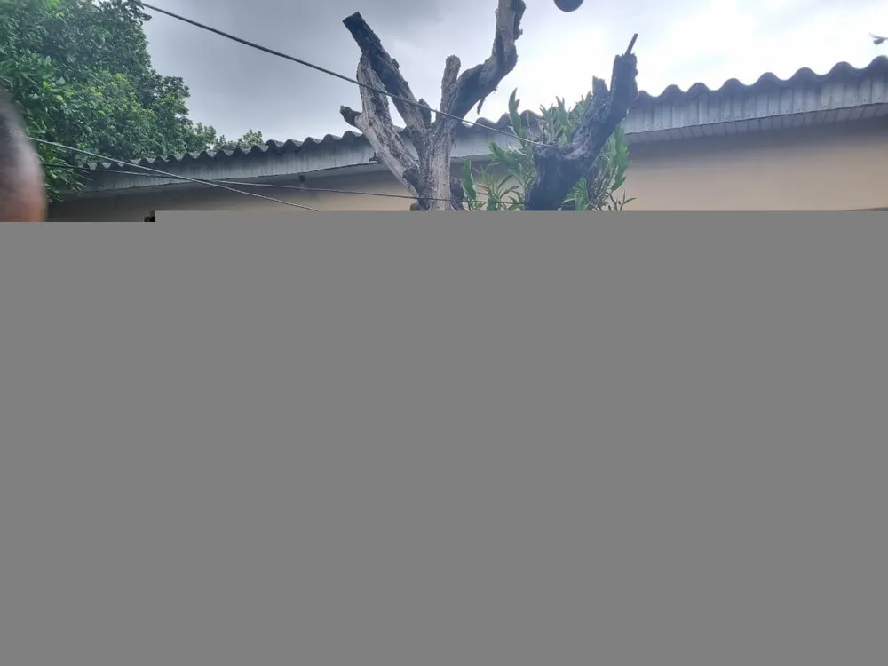 Terreno, 397 m² - Foto 1