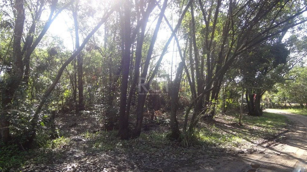 Terreno, 5600 m² - Foto 6