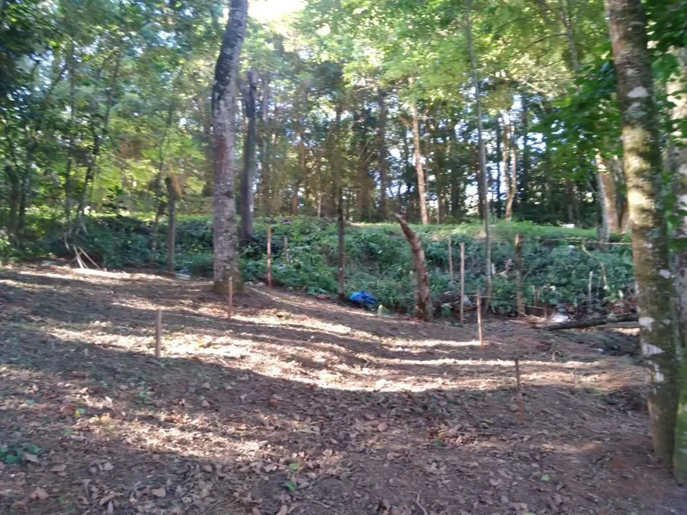 Terreno, 3800 m² - Foto 3