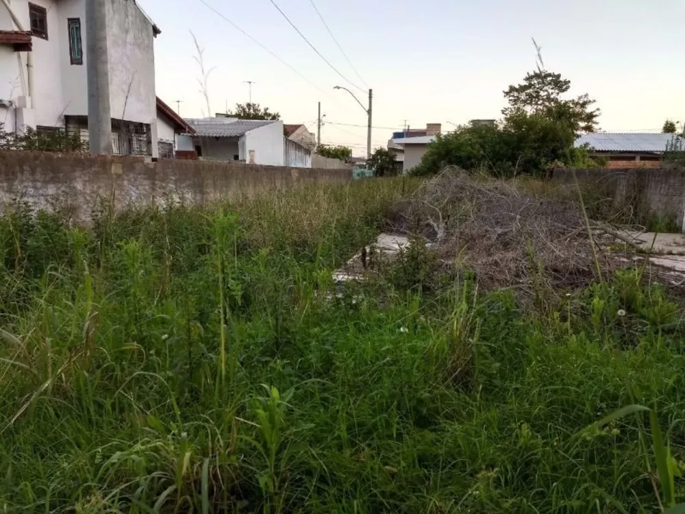 Terreno, 300 m² - Foto 4