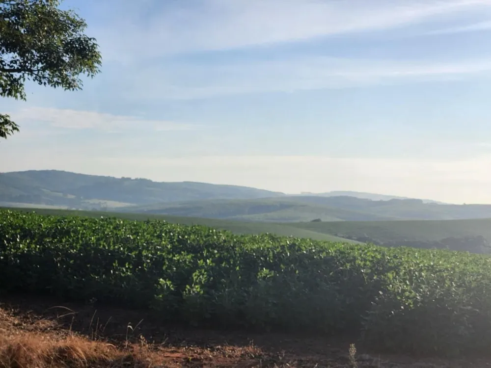 Fazenda, 240 hectares - Foto 3