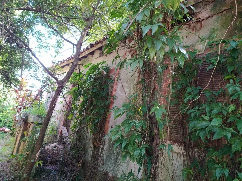Terreno, 3 hectares - Foto 4