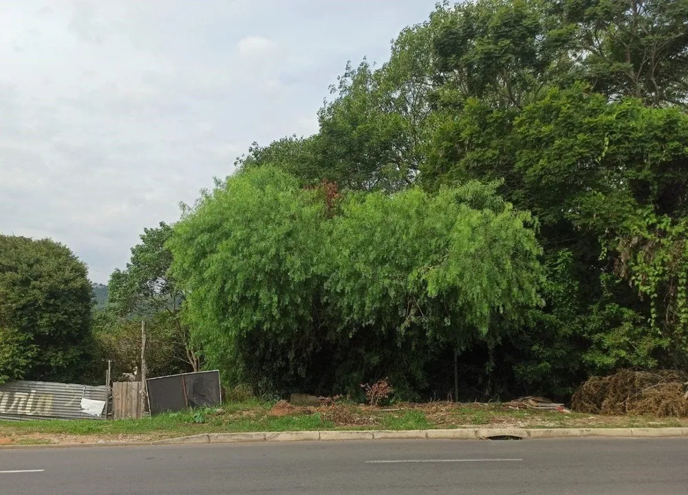 Terreno, 500 m² - Foto 4