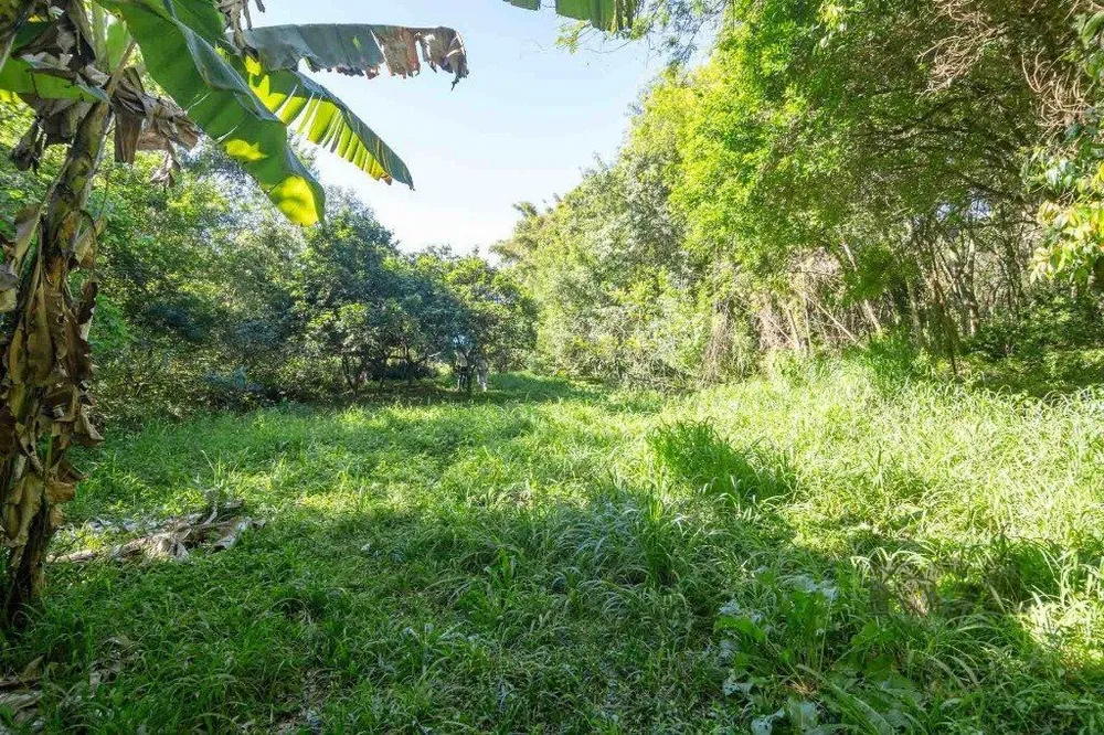 Casa, 6 quartos, 393 m² - Foto 5