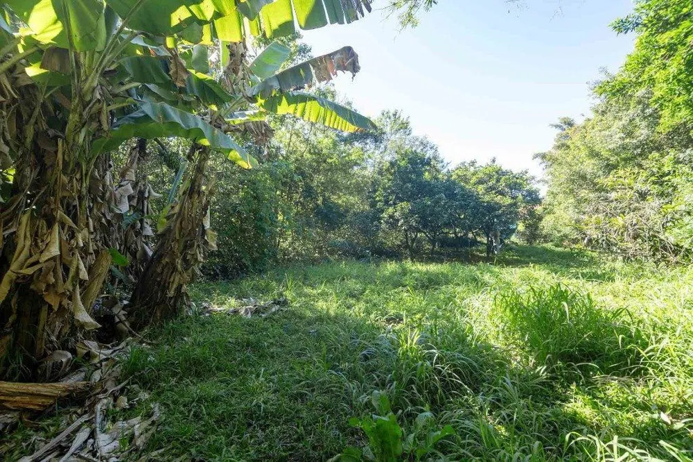 Casa, 6 quartos, 393 m² - Foto 1