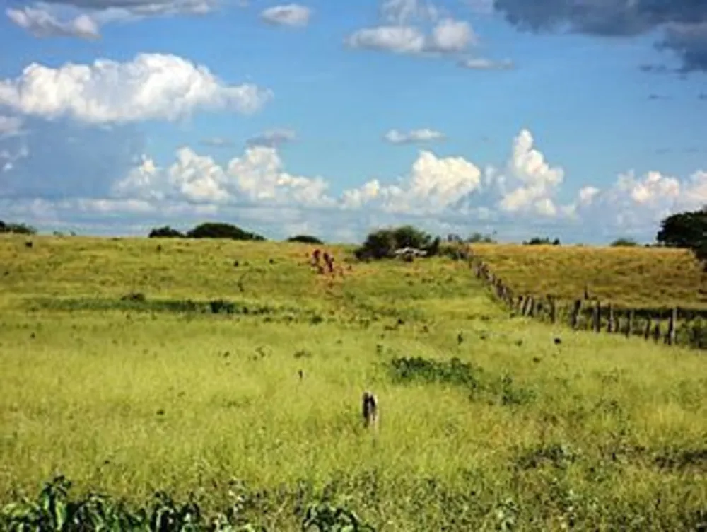 Chácara, 2 quartos, 4 hectares - Foto 1