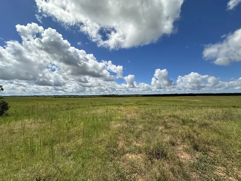 Fazenda, 433 hectares - Foto 4