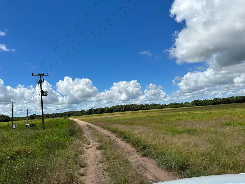 Fazenda, 433 hectares - Foto 14