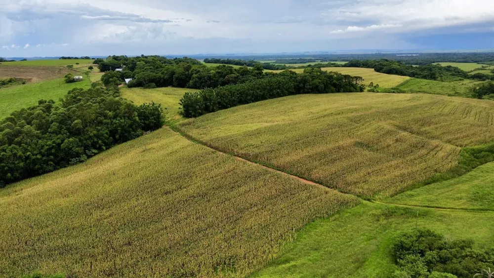 Fazenda, 433 hectares - Foto 16