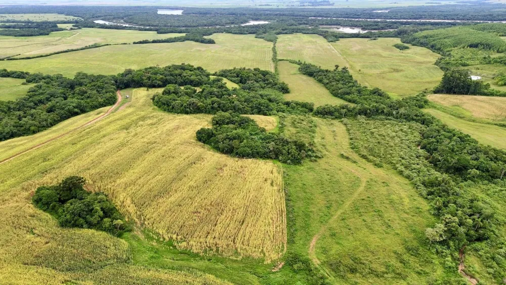 Fazenda, 433 hectares - Foto 15