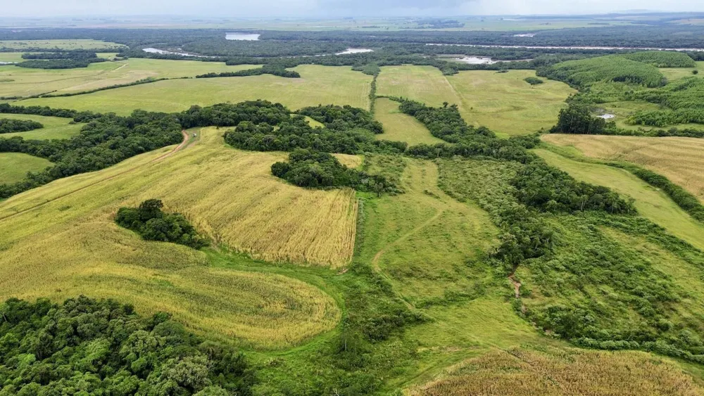 Fazenda, 433 hectares - Foto 3