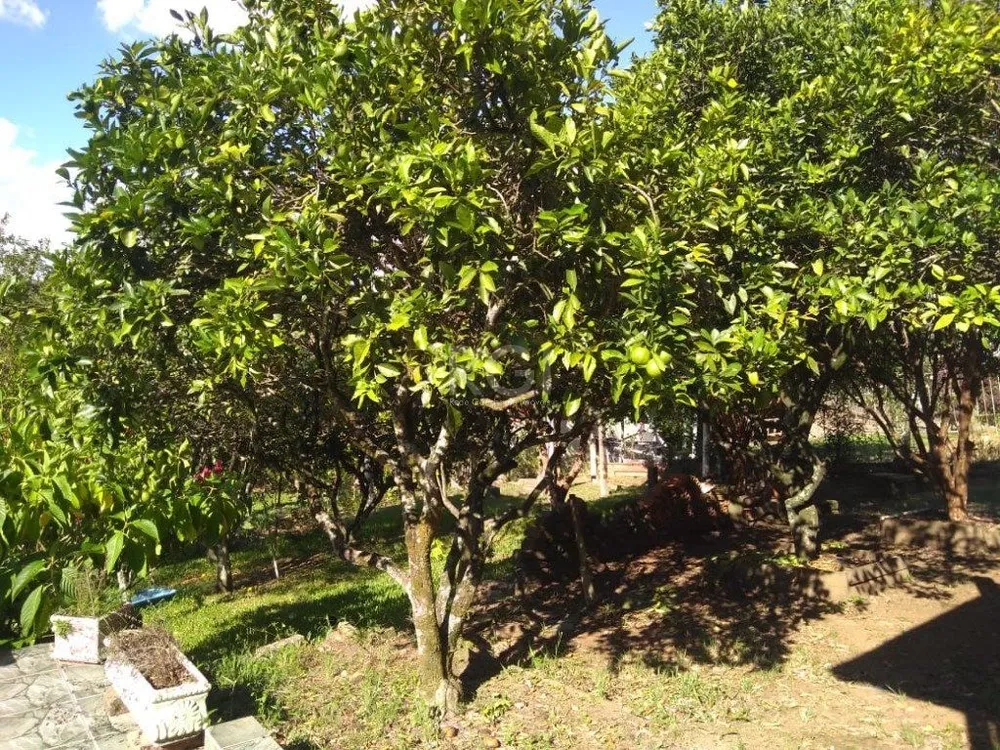 Casa, 3 quartos, 120 m² - Foto 6