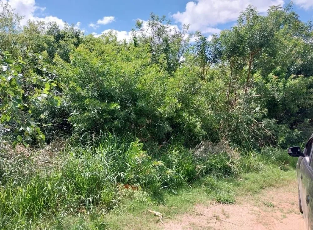 Terreno, 1000 m² - Foto 1