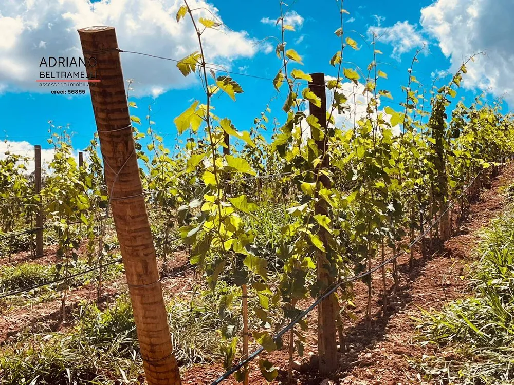 Sítio, 6 quartos, 17 hectares - Foto 3
