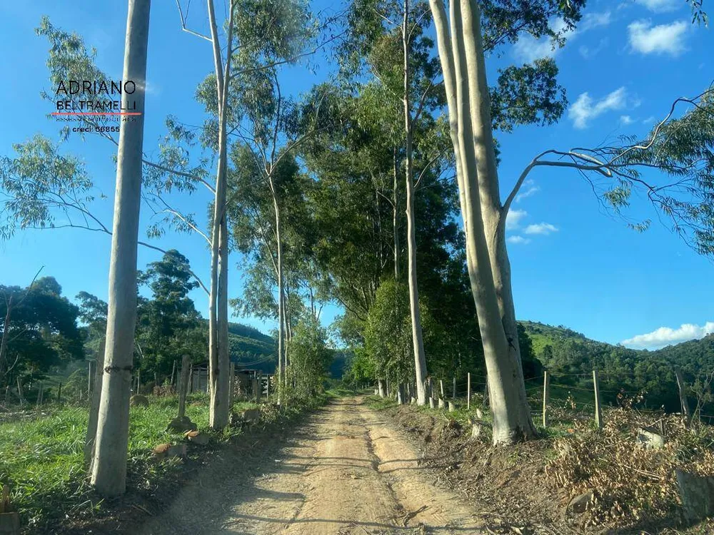 Fazenda, 39 hectares - Foto 1