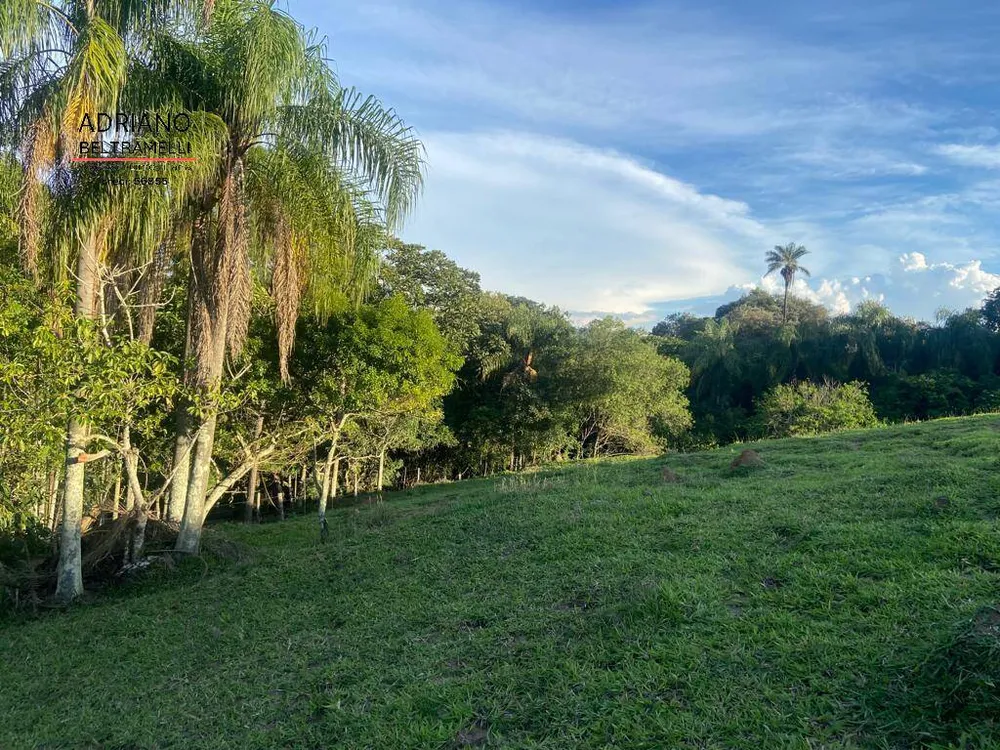 Fazenda, 39 hectares - Foto 4